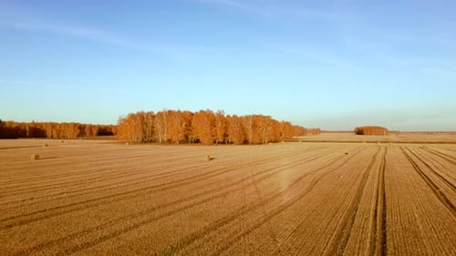 Luftaufnahme rollt Heuhaufen Stroh auf Feld und erntet Weizen