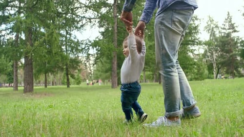 Toddler Learning to Walk with Father in Park