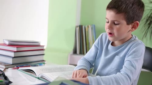 Children Learning, Schoolboy at Home School Does His Homework Reads Book