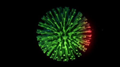 Traitement de désintégration du virus Corona