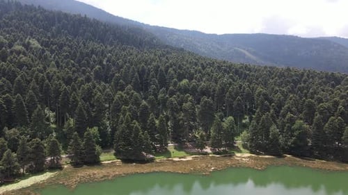 Forest Lake