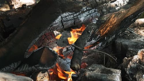 Fire (4K)
