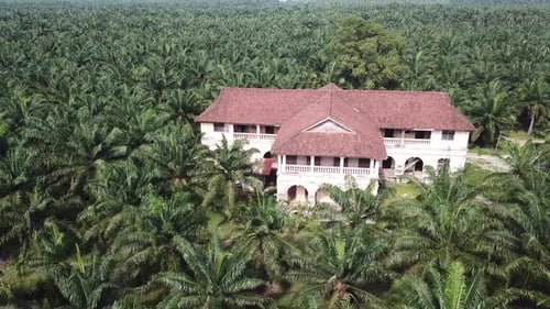 Antiga casa abandonada assombrada aérea