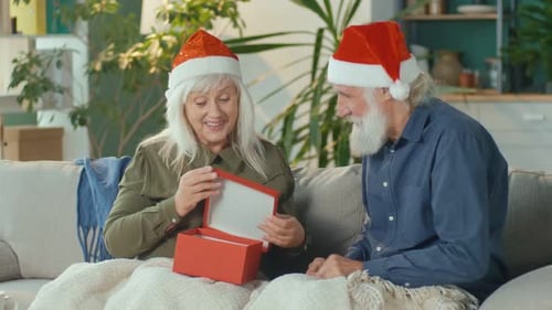 Senior Couple Exchanging Gifts at Christmas