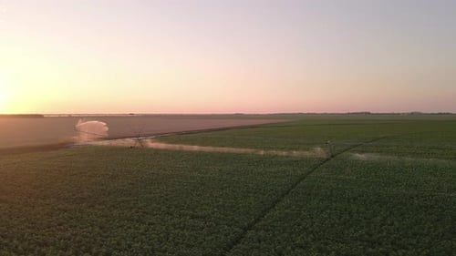 A Center Pivot Sprinkler Watering A Potato Field