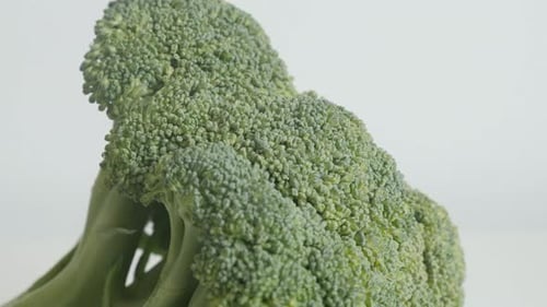 Fresh Broccoli Floret Close Up on White Background