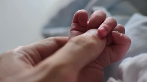 Baby Newborn Hold Squeezing Adult Finger Father Hand Infant