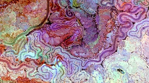 Abstract Colorful Ink Spread