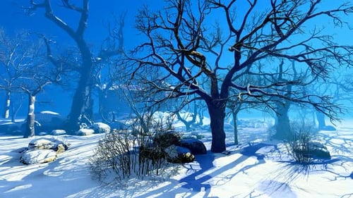 Winter Park