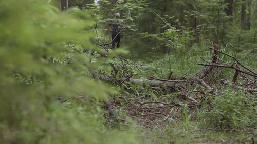 Sporty Senior Man Is Jogging in Forest