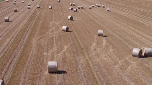 Flying Over Stubble Field