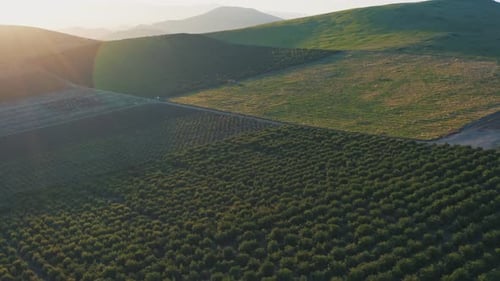Aerial View of Farmland at Sunrise