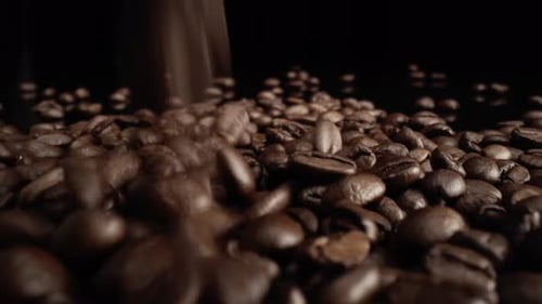 Coffee Beans Falling in Slow Motion