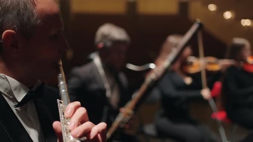 Wind and String Instruments in Orchestra Musicians are Playing Classic or Neoclassical Music