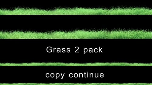 Grass 4K