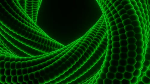 Rotating spiral made of snake skin