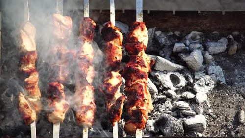 Barbecue Grilled Pork Kebabs Meat Lamb Kebab Marinated Barbecue Meat Shashlik Shish Kebab Outdoors