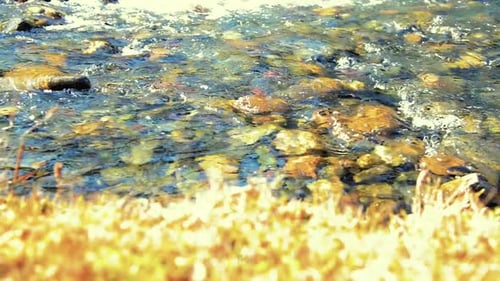 Dolly Slider Shot of the Splashing Water in a Mountain River Near Forest. Wet Rocks and Sun Rays