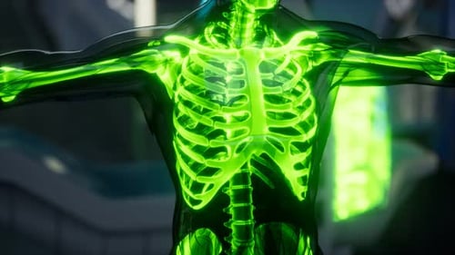 Human Skeleton Bones Scan Exam in Lab