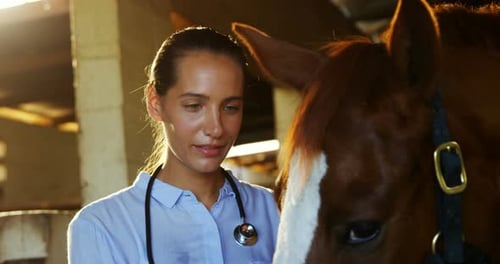 Woman Vet with Horse in Golden Light