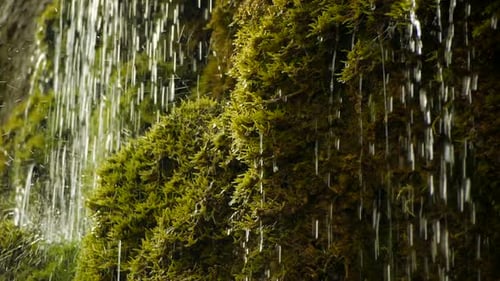 Waterfall Scenery of Fresh Natural Source Water