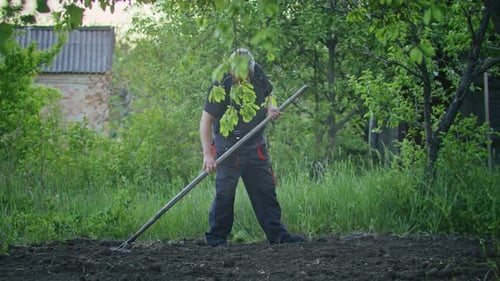The Farmer Works with a Rake in the Garden