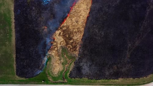 Prescribed burns
