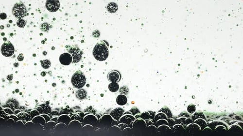 Background from Bubbles 7