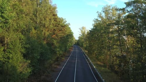 Aerial View From Drone on Asphalt Road at the Forest