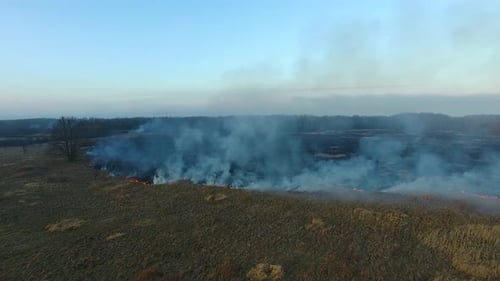 The burning field in spring, view from a drone