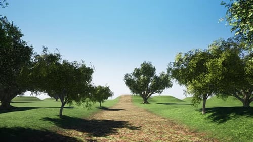 Traveling Through a Natural Landscape as the Sun Sets