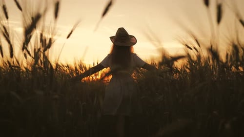 Woman Walks Through Wheat Field at Sunset