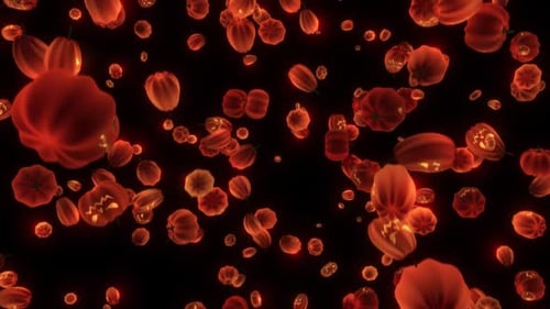 Animated Falling Halloween Pumpkins Background Loop