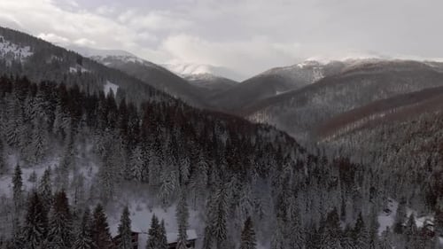 Scenic Aerial View Flying Over Mountains Covered with Forests in Wintertime