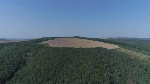 Aerial of a forested hill