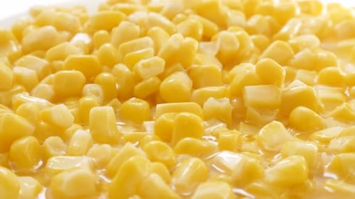 Corn kernels from the can on plate close-up 4K 2160p 30fps UHD footage - Vegetable sweet maize Zea