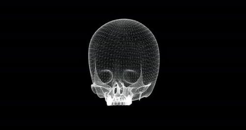 Hologramm-Bildschirm von Cranium