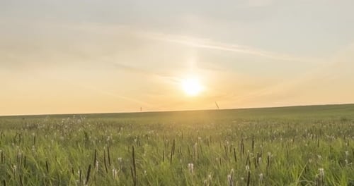 Hill Meadow Timelapse at the Summer or Autumn Time. Wild Endless Nature and Rural Field. Sun Rays