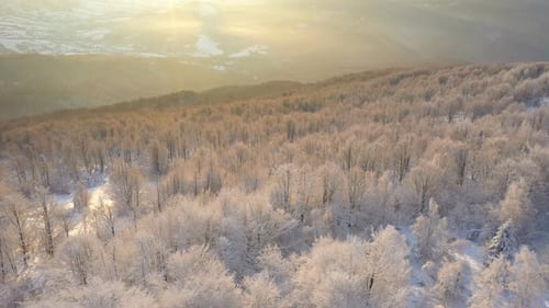 Winter Sunrise Above The Mountain Forest 6