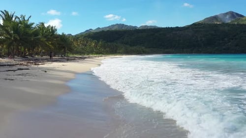 4k 30fps A Sunny Day In The Caribbean Beach With Palmstree And The Waves 5