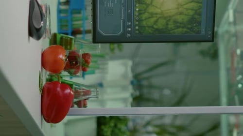 Brightly Lit Laboratory with Fruit and Monitor