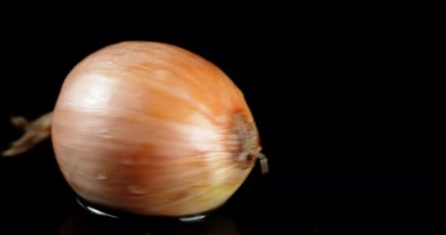 Rotating Wet Onion on Black Background