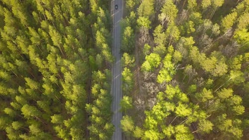 A Car From Above
