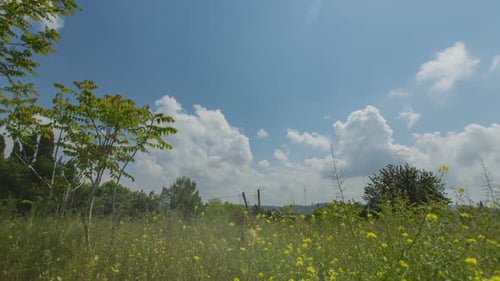 Zeitraffer von Wolken über einer grünen ländlichen Landschaft mit Bäumen und grünen Hügeln