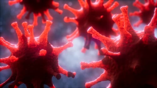 Loop Rotation of Coronavirus COVID-2019