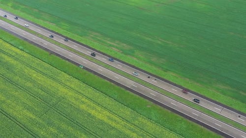Top View of the Sown Green in Belarus