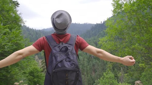Man Enjoys Forest View in Mountains