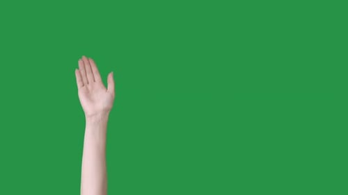 Arm and Hand Gesturing Against Green Screen Background