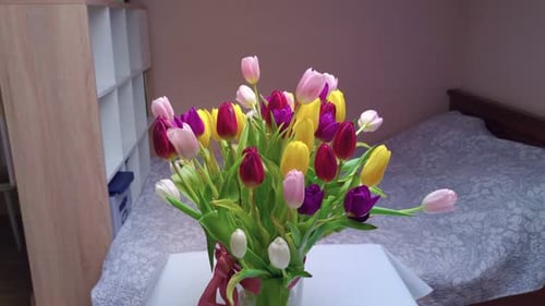 Colorful Tulip Bouquet in Vase Home Decoration