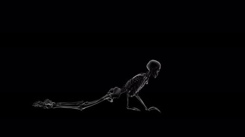 Skeleton Crawling 02